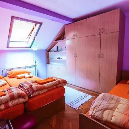 Laufer Novi Sad