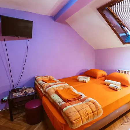 Laufer Novi Sad