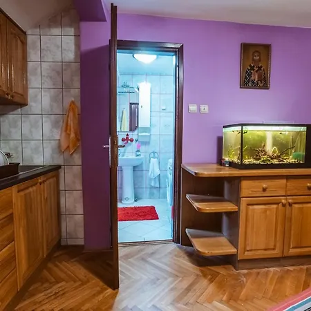 Laufer Novi Sad