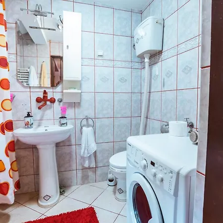 Laufer Novi Sad